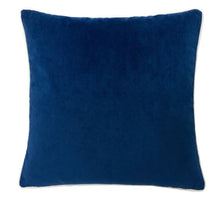 Load image into Gallery viewer, Velvet Luxury Pillow
