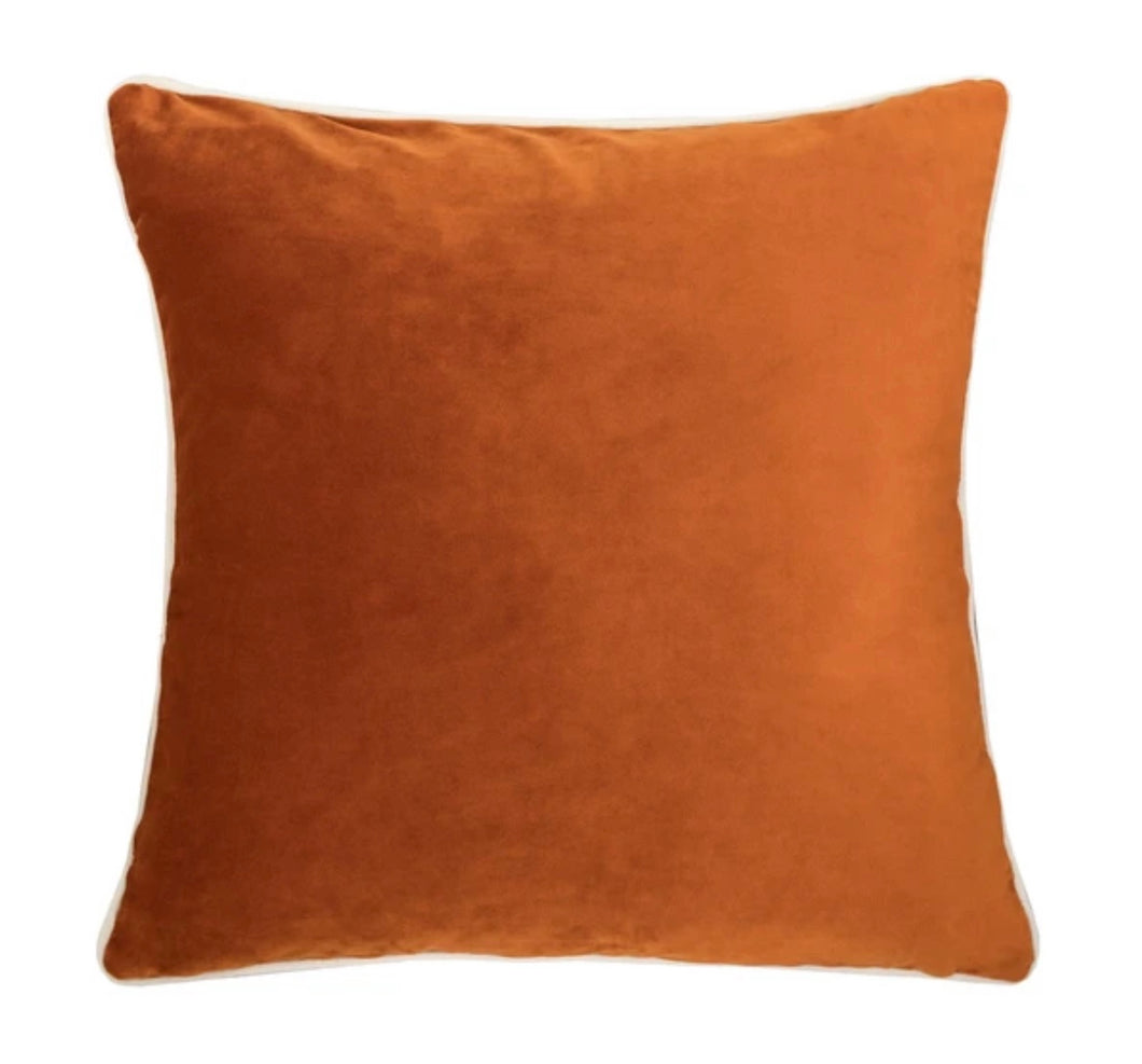 Velvet Luxury Pillow